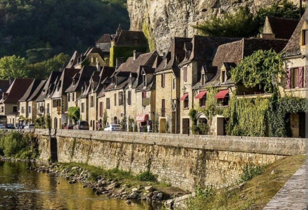 Wonderful House In Sarlat Center With Heated Pool & Jaccuziヴィラ エクステリア 写真